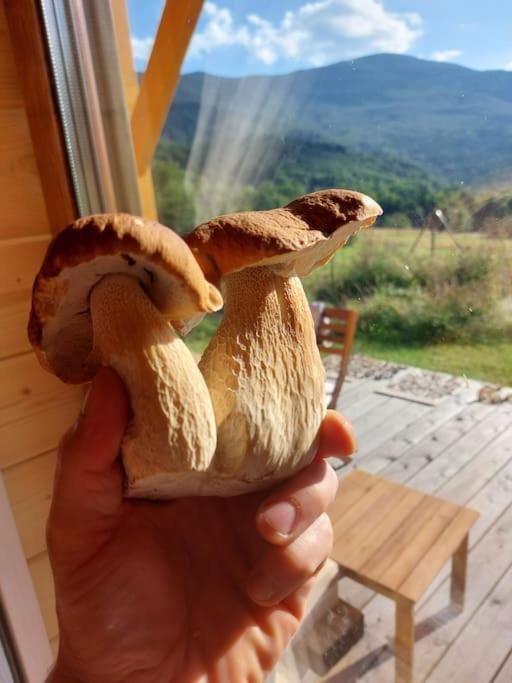 Panorama Sucha Gora ,Lesny Domek Skawica  Extérieur photo